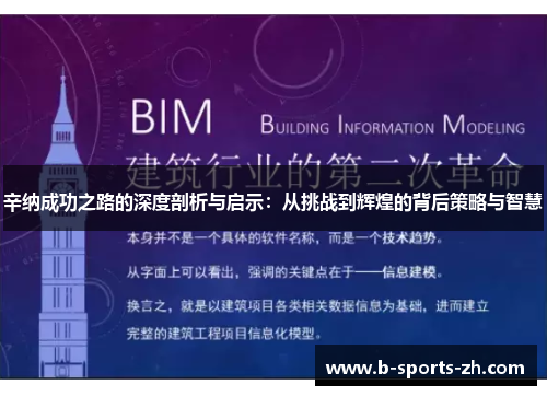 辛纳成功之路的深度剖析与启示：从挑战到辉煌的背后策略与智慧